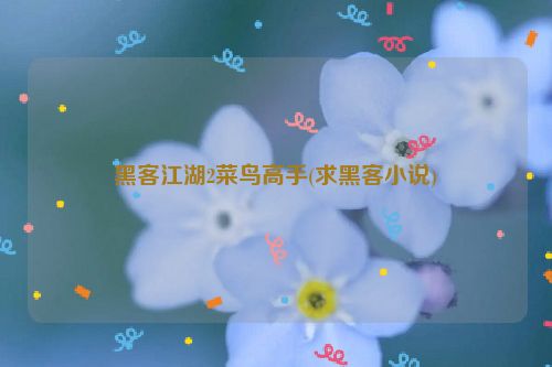 黑客江湖2菜鸟高手(求黑客小说)